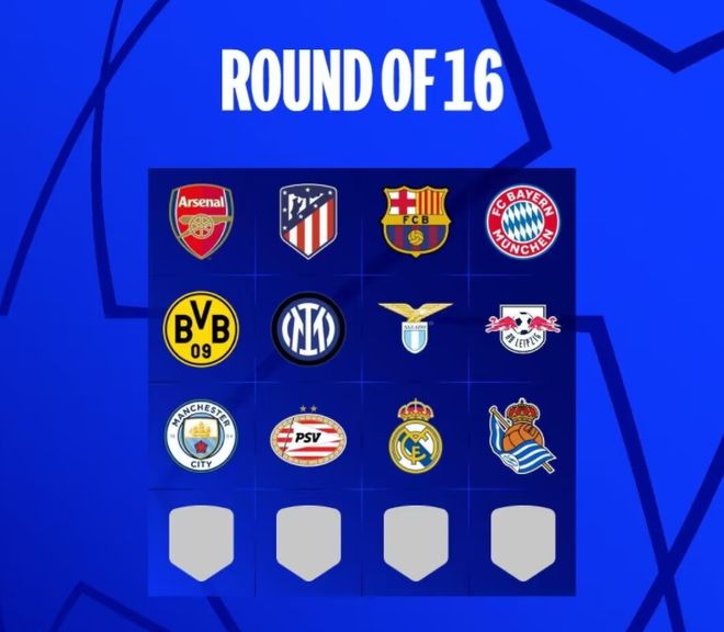 樊振东夺德国杯冠军留洋首冠